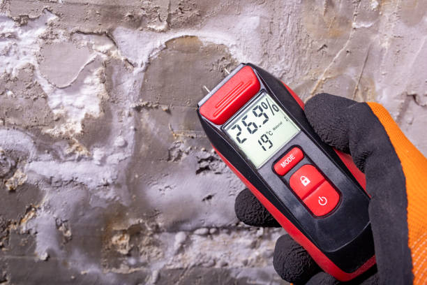 Home Mold Removal in Mountainair, NM